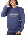 sweater bleue